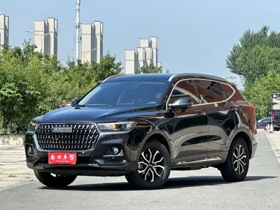 Haval H6 · 2023 год