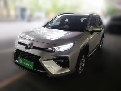 Toyota Wildlander · 2020 год