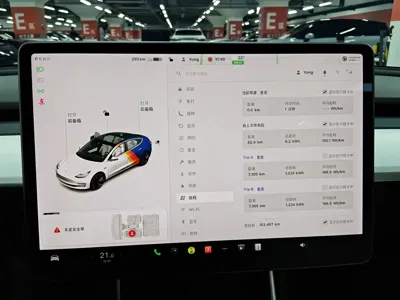 Tesla Model 3 2019, 103000 км, за 106800 CNY - фото 11