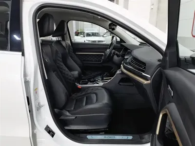 Haval H6 2020, 42300 км, за 41900 CNY - фото 23