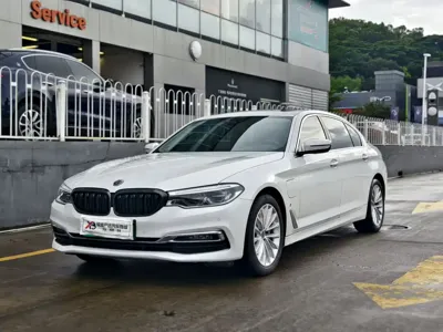 BMW 5 Series New Energy · 2019 год