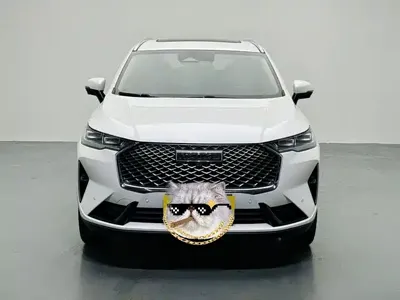 Haval H6 2021, 62000 км, за 58900 CNY - фото 2