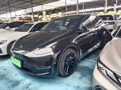 Tesla Model Y · 2021 год