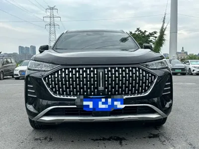 WEY Wey Mocha 2022, 40000 км, за 68800 CNY