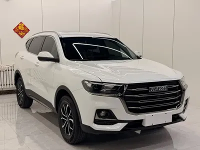 Haval H6 2022, 51000 км, за 73800 CNY