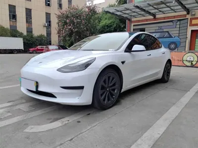Tesla Model 3 · 2022 год