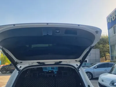 Hyundai Santafe 2019, 126658 км, за 17900000 KRW - фото 9