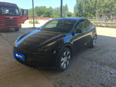 Tesla Model Y · 2023 год