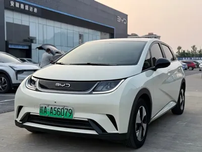 BYD Dolphin · 2023 год