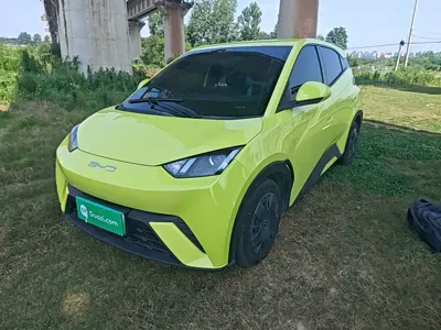 BYD Seagull · 2023 год