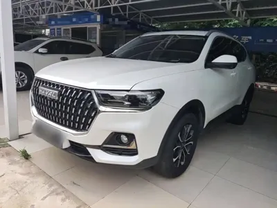 Haval H6 · 2024 год