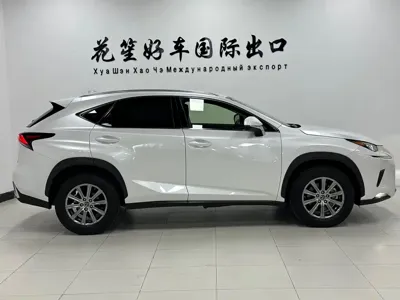 Lexus NX 2020, 69000 км, за 173800 CNY
