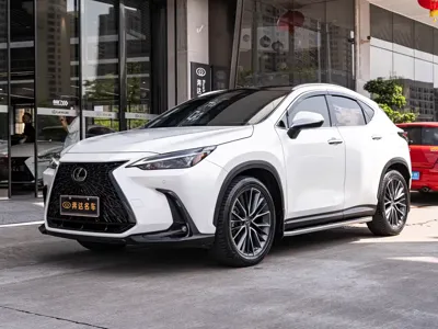 Lexus NX · 2022 год