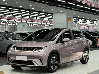 BYD Dolphin · 2024 год