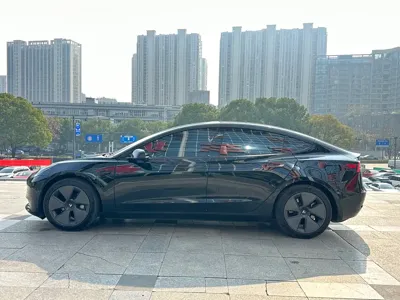 Tesla Model 3 2021, 79000 км, за 109800 CNY - фото 9