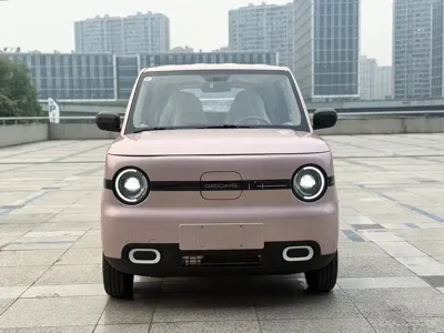 Galaxy Panda 2026, 100 км, за 36800 CNY - фото 2