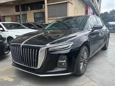 Hongqi Hongqi H5 · 2024 год
