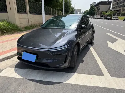 Tesla Model Y · 2025 год