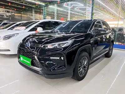 Toyota Wildlander · 2024 год
