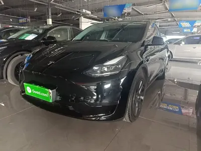 Tesla Model Y · 2024 год