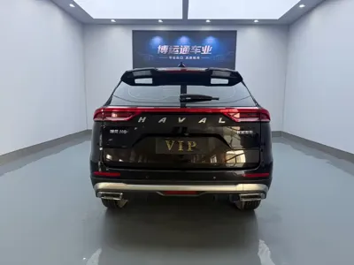 Haval H6 2023, 30000 км, за 79000 CNY - фото 5