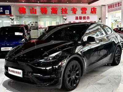 Tesla Model Y · 2021 год