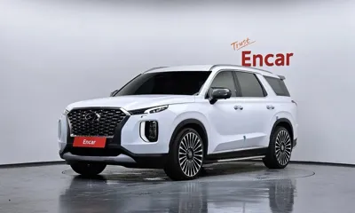 Hyundai Palisade · 2019 год