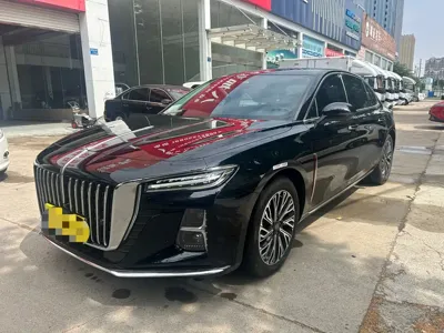 Hongqi Hongqi H5 · 2024 год