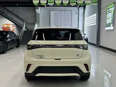 BYD Dolphin 2023, 50000 км, за 61800 CNY - фото 14