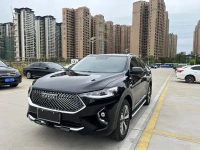 Haval F7x · 2020 год