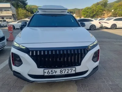 Hyundai Santafe · 2019 год