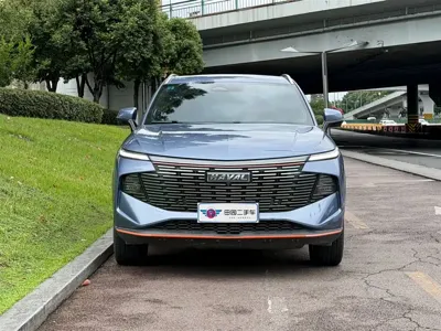 Haval Shenshou 2023, 64000 км, за 53700 CNY