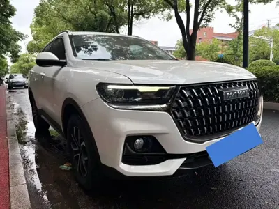 Haval H6 2024, 70000 км, за 57800 CNY - фото 15