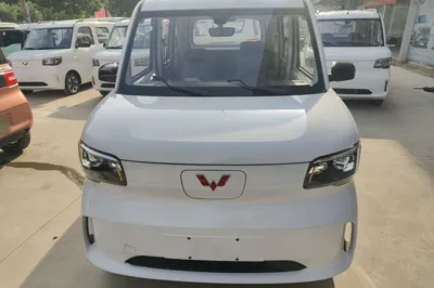 Wuling Zhiguang New Energy 2025, 100 км, за 62031.47 CNY
