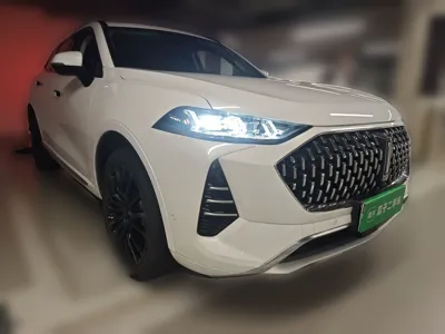 WEY Mocha New Energy 2022, 63900 км, за 104762.64 CNY