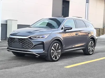 BYD Tang New Energy · 2023 год