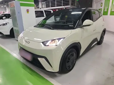 BYD Seagull · 2024 год