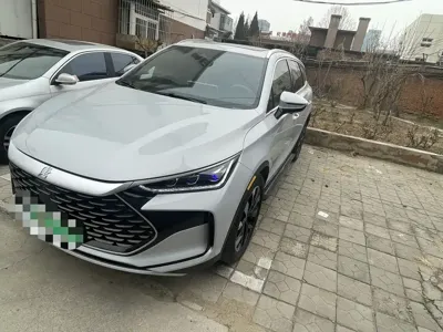 BYD Tang New Energy · 2024 год