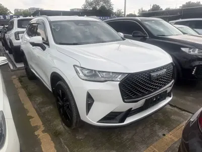 Haval H6 2020, 38000 км, за 41200 CNY - фото 3