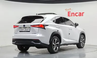Lexus NX 2019, 39301 км, за 35000000 KRW