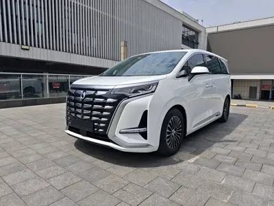 Denza Denza D9 · 2024 год