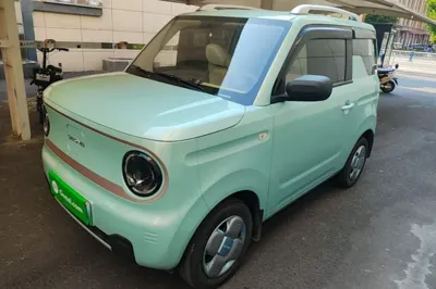 Geely Galaxy Panda · 2024 год