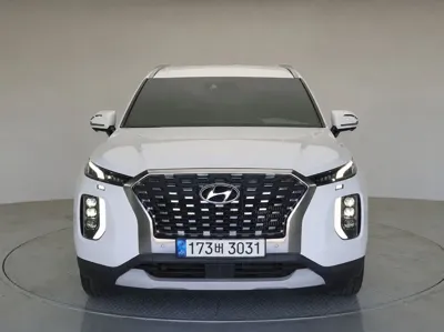 Hyundai Palisade · 2019 год