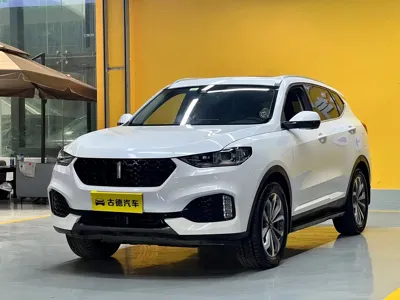 WEY Wey VV6 · 2019 год