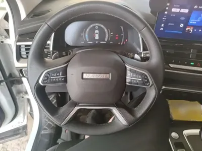 Haval H6 2021, 29600 км, за 51800 CNY - фото 11