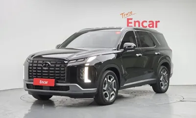 Hyundai Palisade · 2024 год