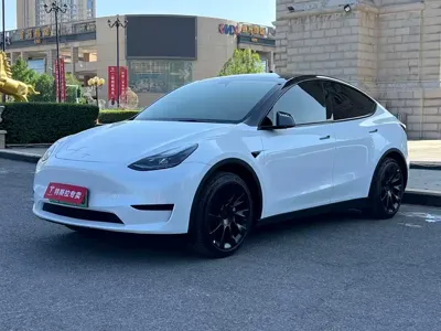 Tesla Model Y · 2024 год