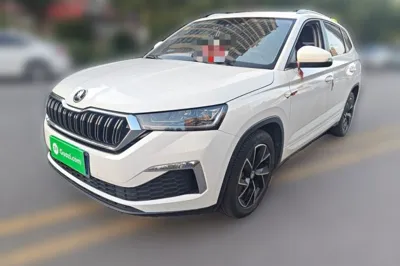 Skoda Kamiq · 2020 год