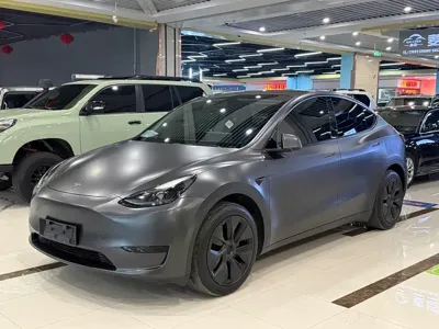 Tesla Model Y · 2024 год