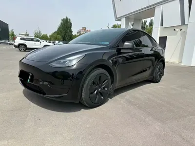 Tesla Model Y · 2023 год